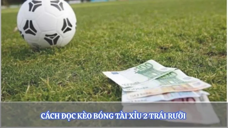 Cách đọc kèo bóng tài xỉu 2 trái rưỡi